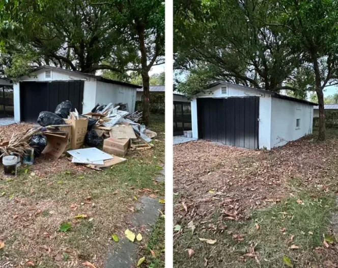 before and after cleanout